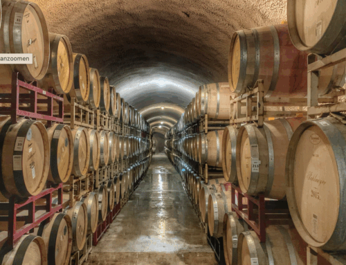 Vin désalcoolisé : la fin d’une bulle